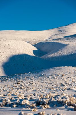 Yellowstone NP 20180121_1275.jpg