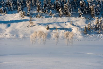 Yellowstone NP 20180121_1278.jpg
