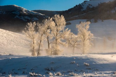Yellowstone NP 20180121_1279.jpg