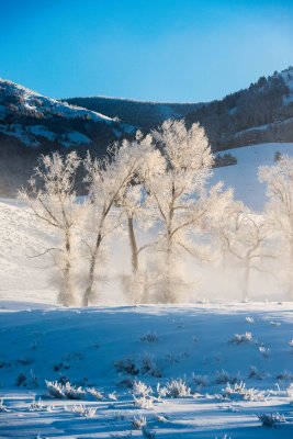 Yellowstone NP 20180121_1281.jpg