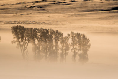 Yellowstone NP 20180121_1284.jpg