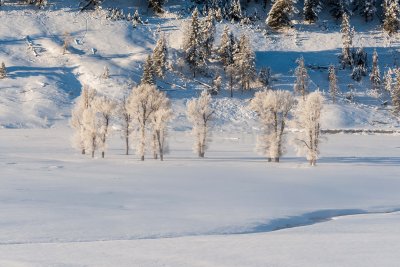 Yellowstone NP 20180121_1286.jpg