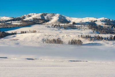 Yellowstone NP 20180121_1288.jpg