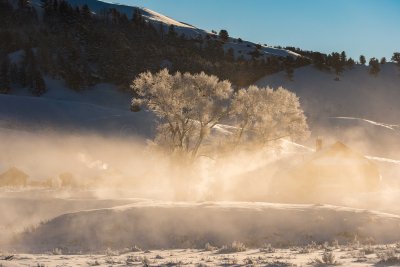 Yellowstone NP 20180121_1291.jpg