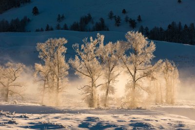 Yellowstone NP 20180121_1293.jpg