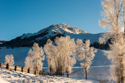 Yellowstone NP 20180121_1295.jpg