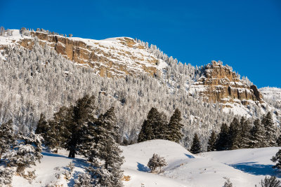 Yellowstone NP 20180121_1302.jpg
