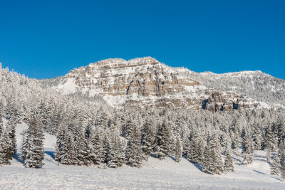 Yellowstone NP 20180121_1307.jpg