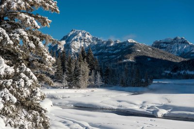 Yellowstone NP 20180121_1308.jpg