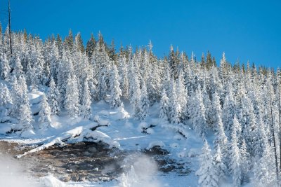 Yellowstone NP 20180121_1324.jpg
