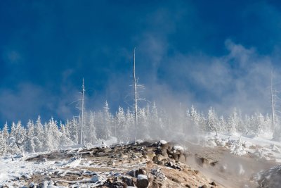 Yellowstone NP 20180121_1329.jpg
