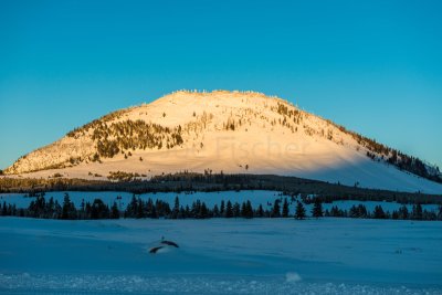 Yellowstone NP 20180121_1345.jpg