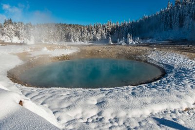 Yellowstone NP 20180121_1335.jpg