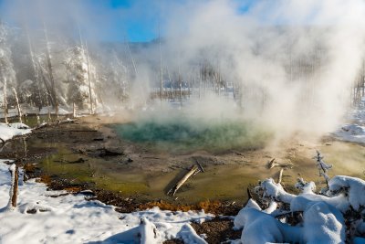 Yellowstone NP 20180121_1344.jpg
