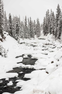 Yellowstone NP 20180122_1424.jpg