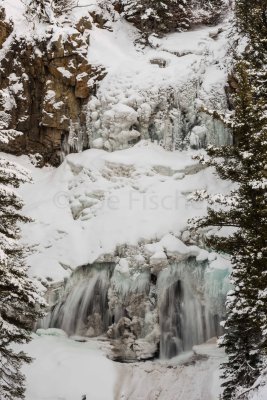 Yellowstone NP 20180122_1476.jpg