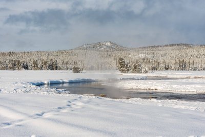 Yellowstone NP 20180123_1532.jpg