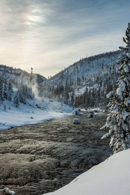 Yellowstone NP 20180123_1542.jpg