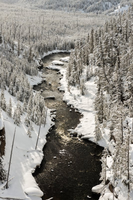 Yellowstone NP 20180123_1545.jpg
