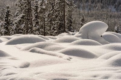 Yellowstone NP 20180123_1548.jpg