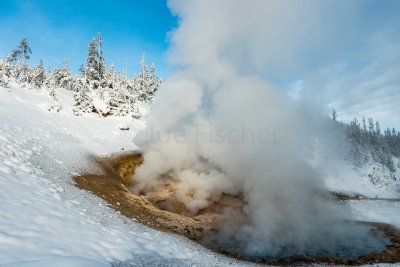 Yellowstone NP 20180123_1540.jpg