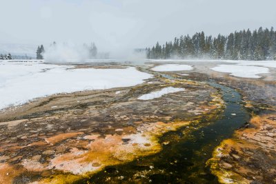 Yellowstone NP 20180123_1555.jpg