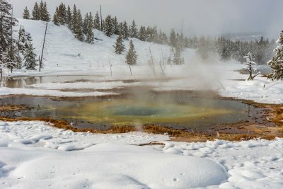 Yellowstone NP 20180123_1557.jpg