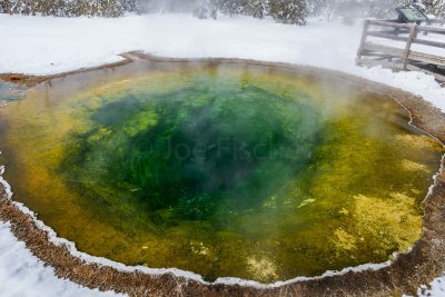 Yellowstone NP 20180123_1559.jpg