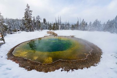 Yellowstone NP 20180123_1563.jpg