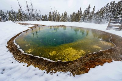 Yellowstone NP 20180123_1564.jpg