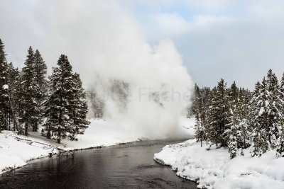 Yellowstone NP 20180123_1566.jpg