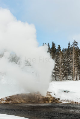 Yellowstone NP 20180123_1569.jpg