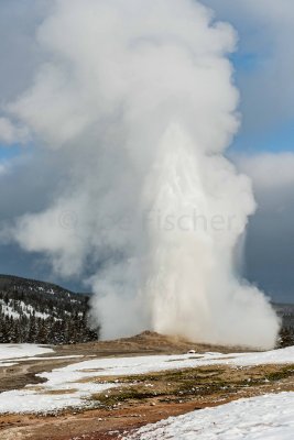 Yellowstone NP 20180123_1578.jpg