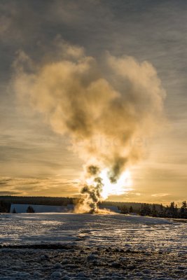 Yellowstone NP 20180124_1583.jpg