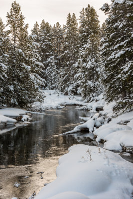 Yellowstone NP 20180124_1618.jpg
