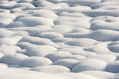Yellowstone NP 20180124_1640.jpg