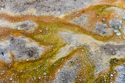 Yellowstone NP 20180124_1610.jpg