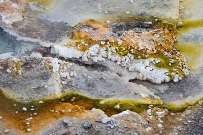 Yellowstone NP 20180124_1612.jpg