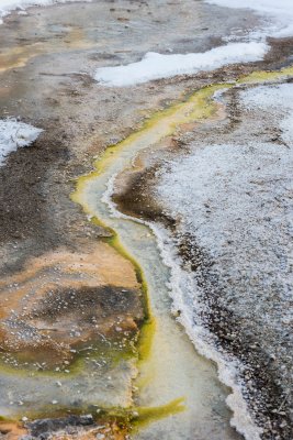 Yellowstone NP 20180124_1614.jpg