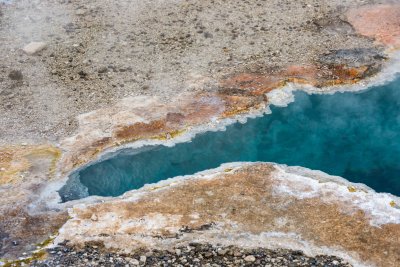 Yellowstone NP 20180124_1615.jpg