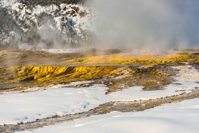 Yellowstone NP 20180124_1621.jpg