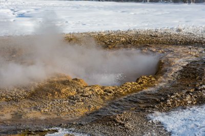 Yellowstone NP 20180124_1629.jpg