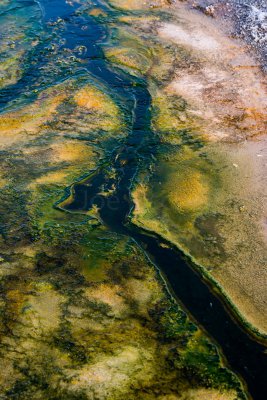 Yellowstone NP 20180124_1630.jpg