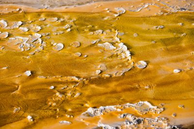 Yellowstone NP 20180124_1636.jpg