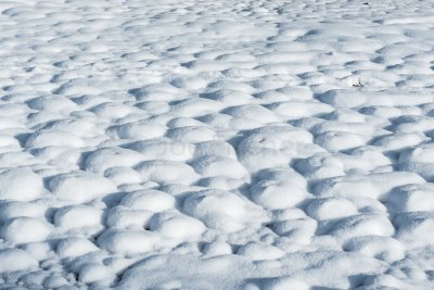 Yellowstone NP 20180124_1679.jpg