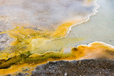 Yellowstone NP 20180124_1650.jpg