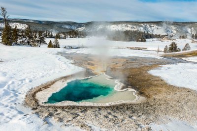 Yellowstone NP 20180124_1657.jpg