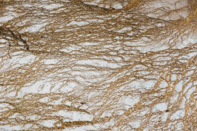 Yellowstone NP 20180124_1662.jpg
