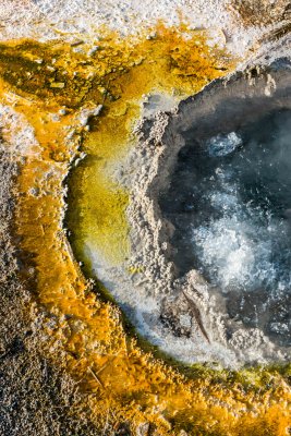 Yellowstone NP 20180124_1670.jpg