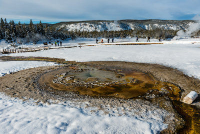 Yellowstone NP 20180124_1676.jpg